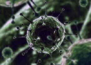 Bakterielle Mikroorganismen als Ursache für Prostatitis
